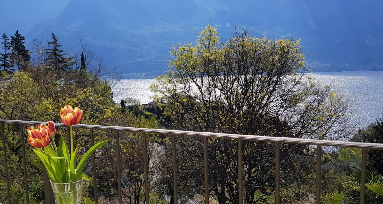 Loft Diva Lake View By Gardadomusmea Tremosine Exteriér fotografie